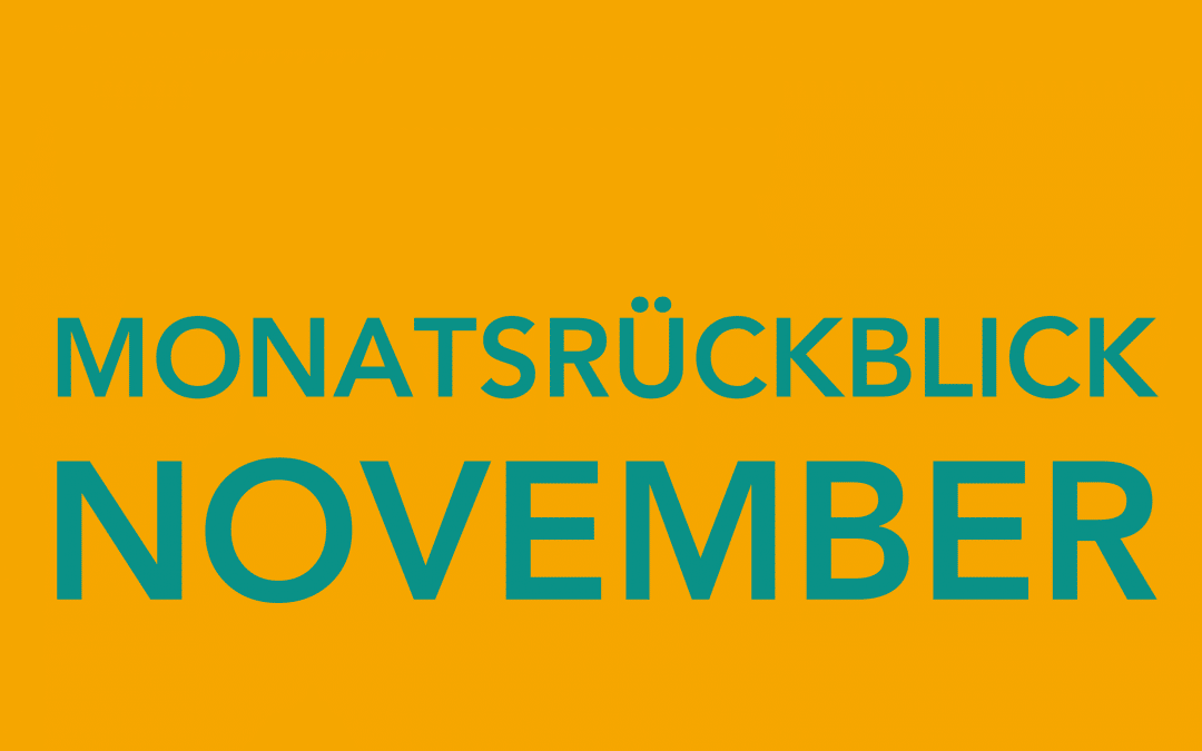 Monatsrückblick November